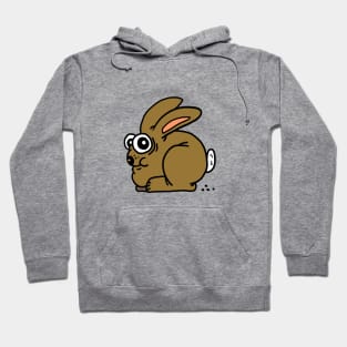 Little Bunny Hoodie